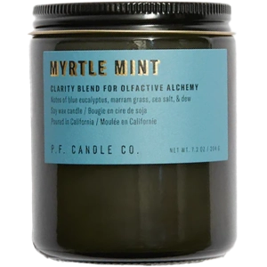 Alchemy Myrtle Mint 7.2oz Candle