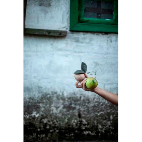 babai Wooden Story From The Nature Apple & Little Friend