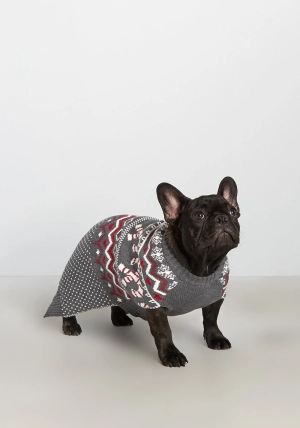 Candy Cane Crossroads Fair Isle Pet Sweater