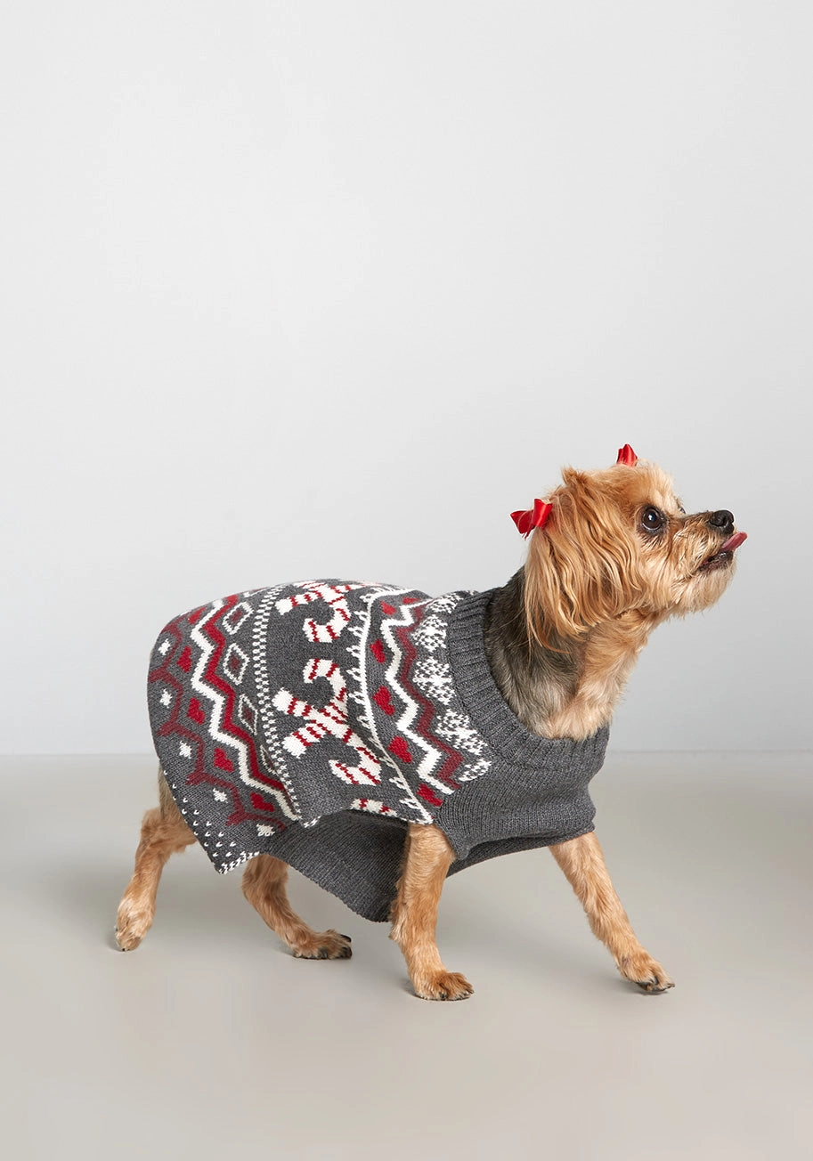 Candy Cane Crossroads Fair Isle Pet Sweater