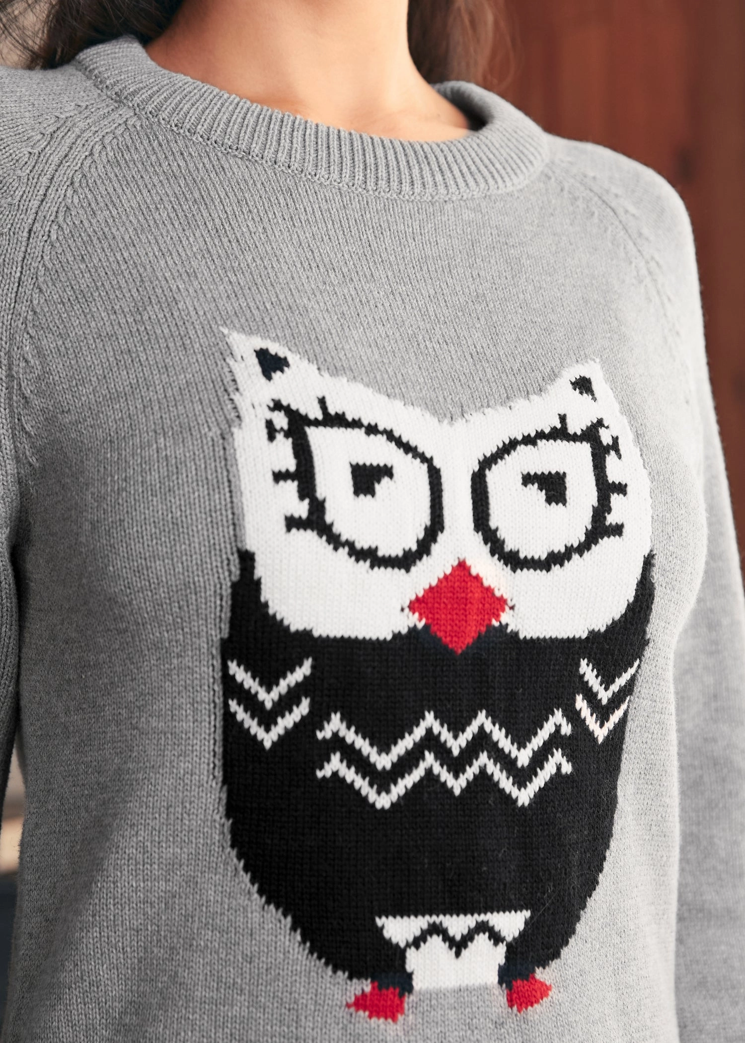 Full of Nostalgia Crewneck Pullover
