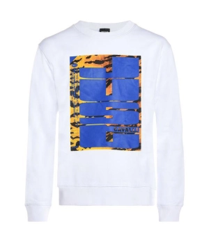 Just Cavalli Graphic Print Crewneck Sweater