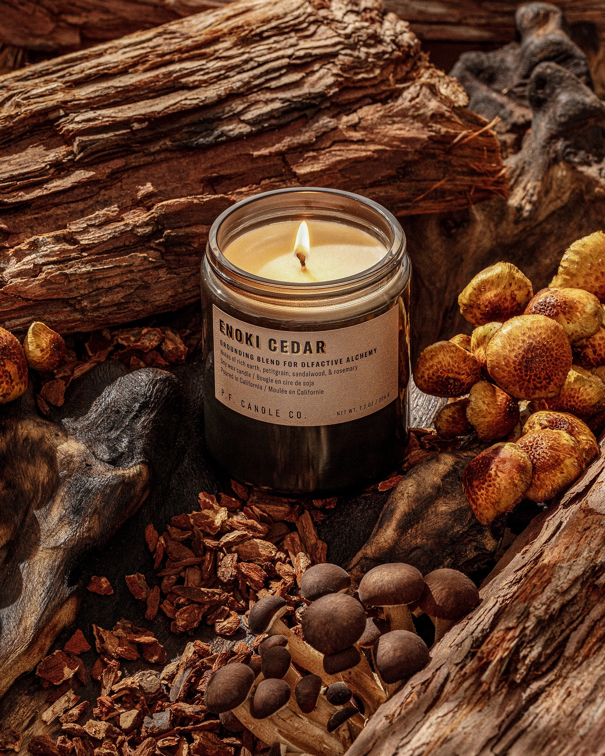 P.F. Candle Co. 7.2oz Alchemy Standard Jar Candle - Enoki Cedar