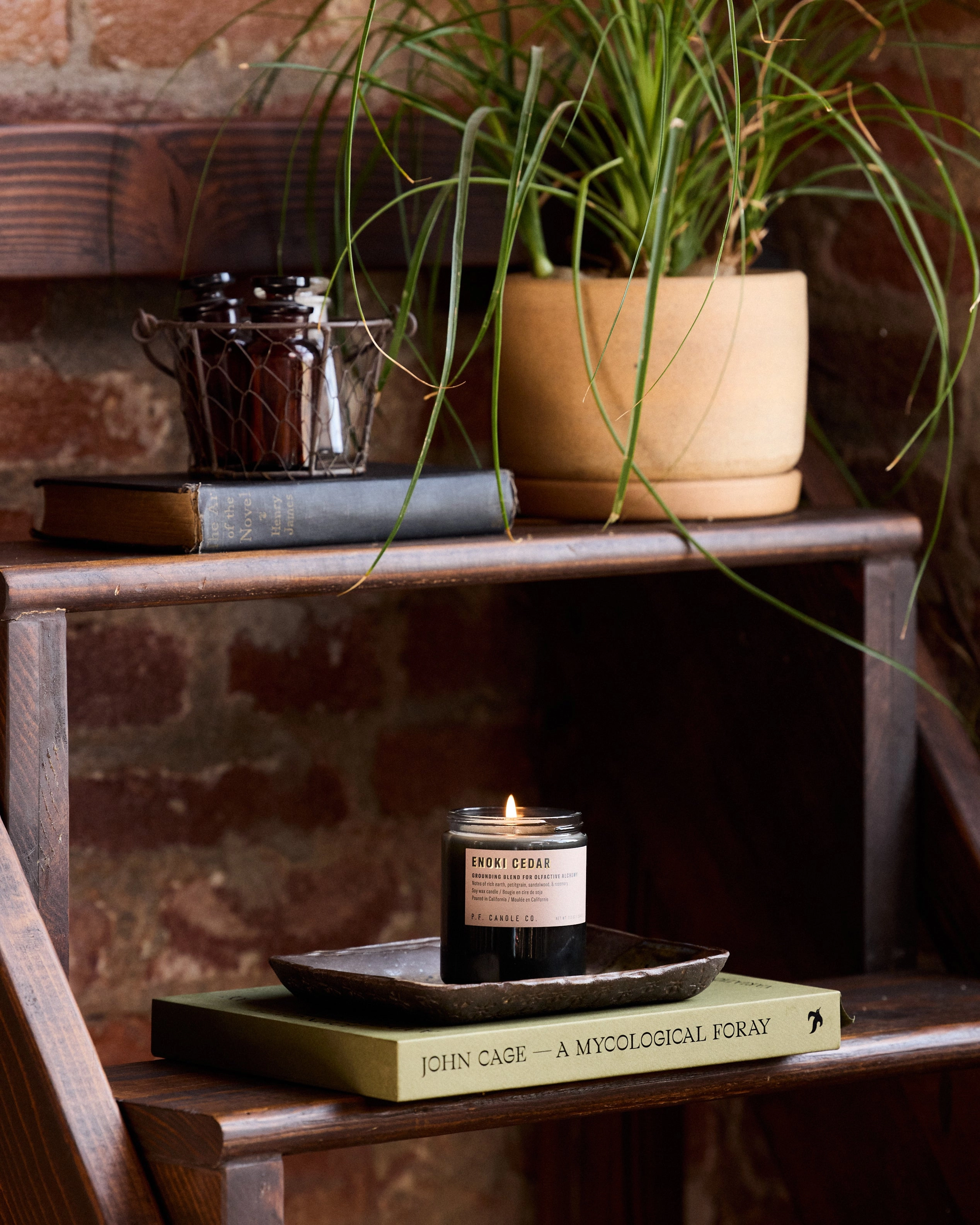 P.F. Candle Co. 7.2oz Alchemy Standard Jar Candle - Enoki Cedar