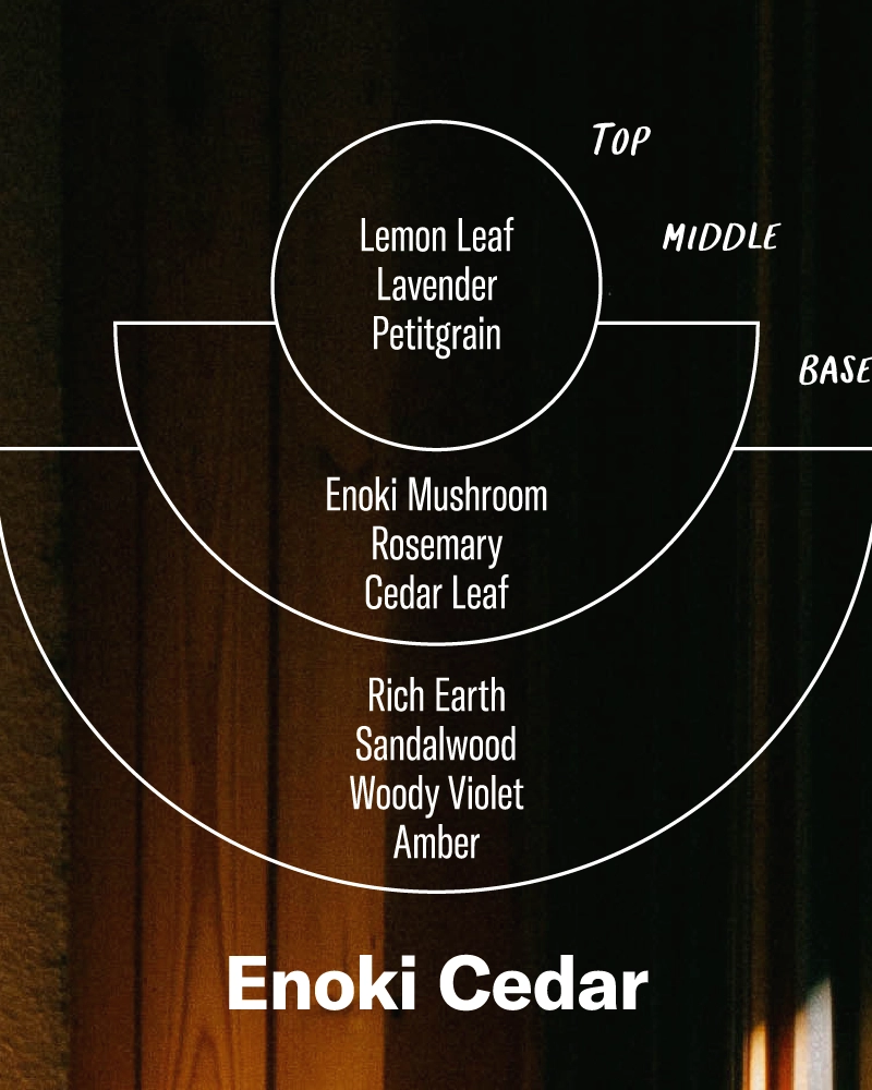 P.F. Candle Co. 7.2oz Alchemy Standard Jar Candle - Enoki Cedar