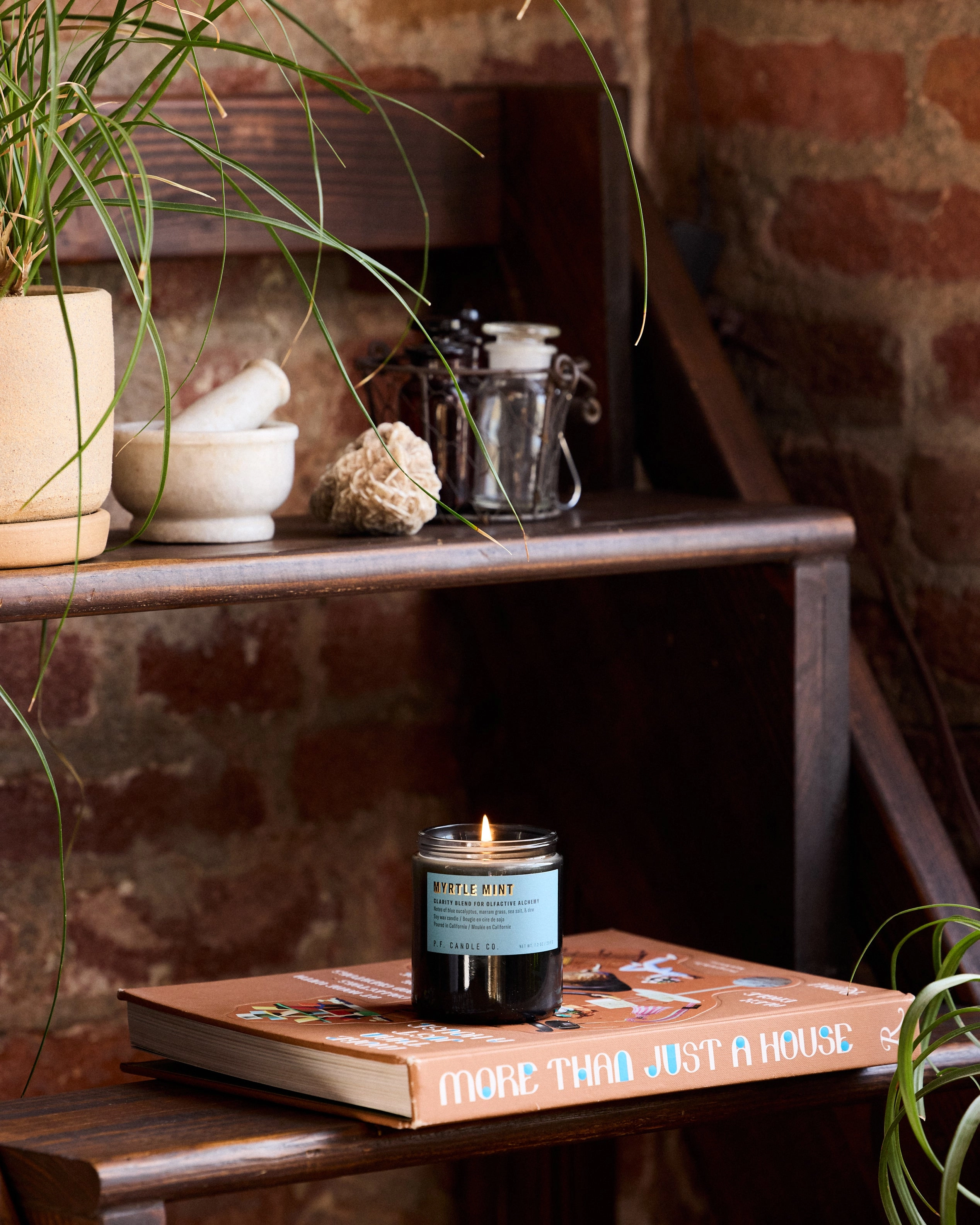 P.F. Candle Co. 7.2oz Alchemy Standard Jar Candle - Myrtle Mint