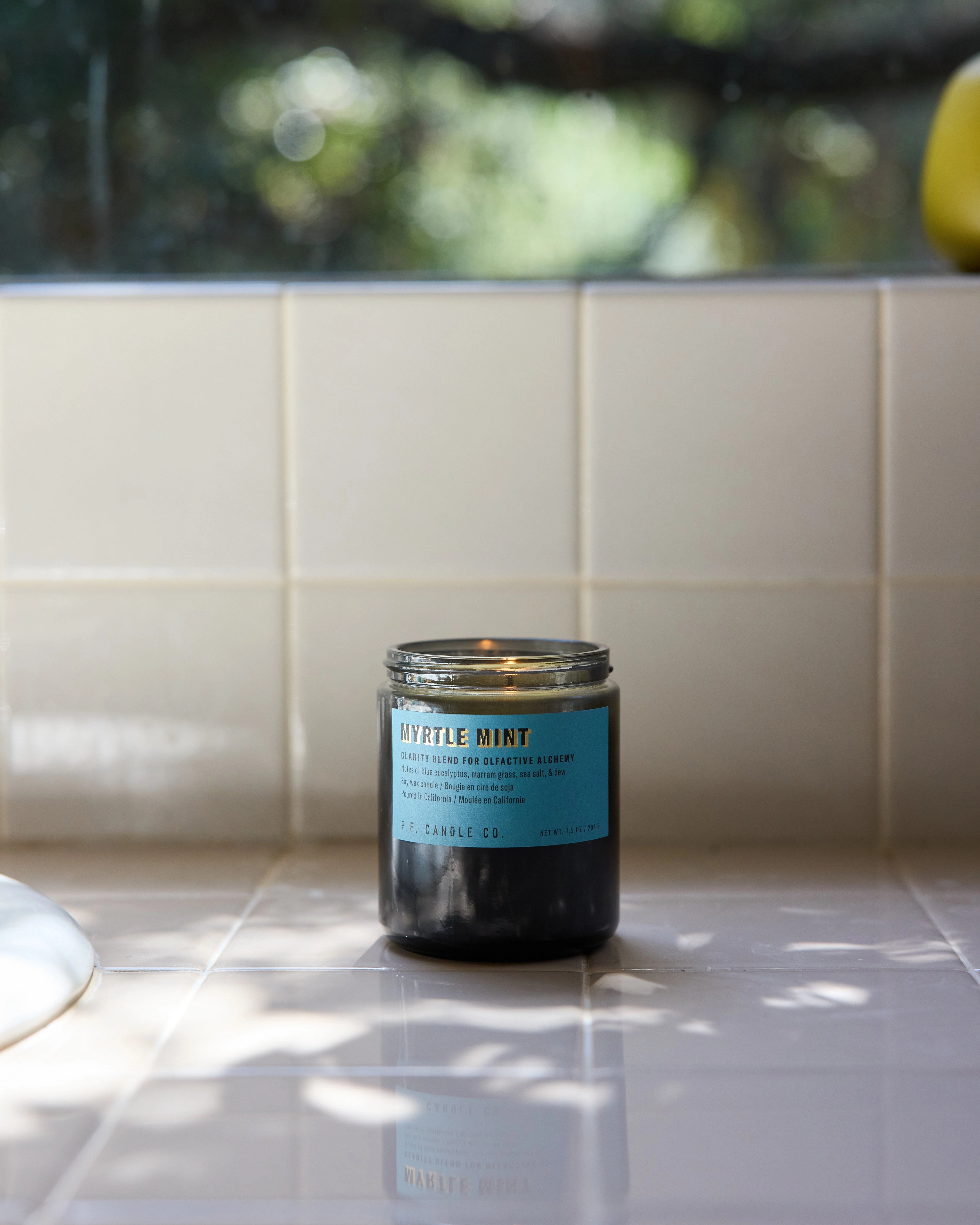 P.F. Candle Co. 7.2oz Alchemy Standard Jar Candle - Myrtle Mint