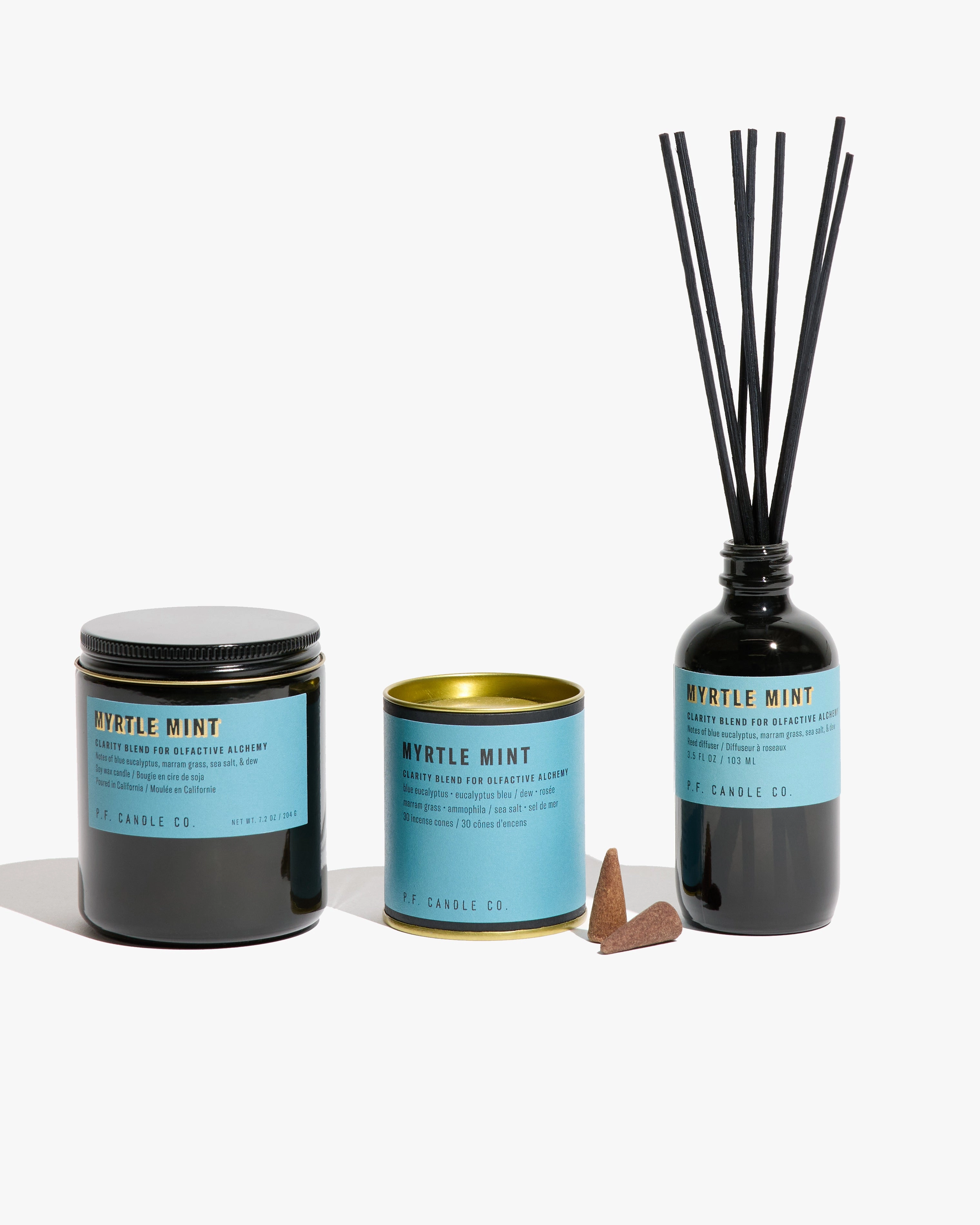 P.F. Candle Co. 7.2oz Alchemy Standard Jar Candle - Myrtle Mint