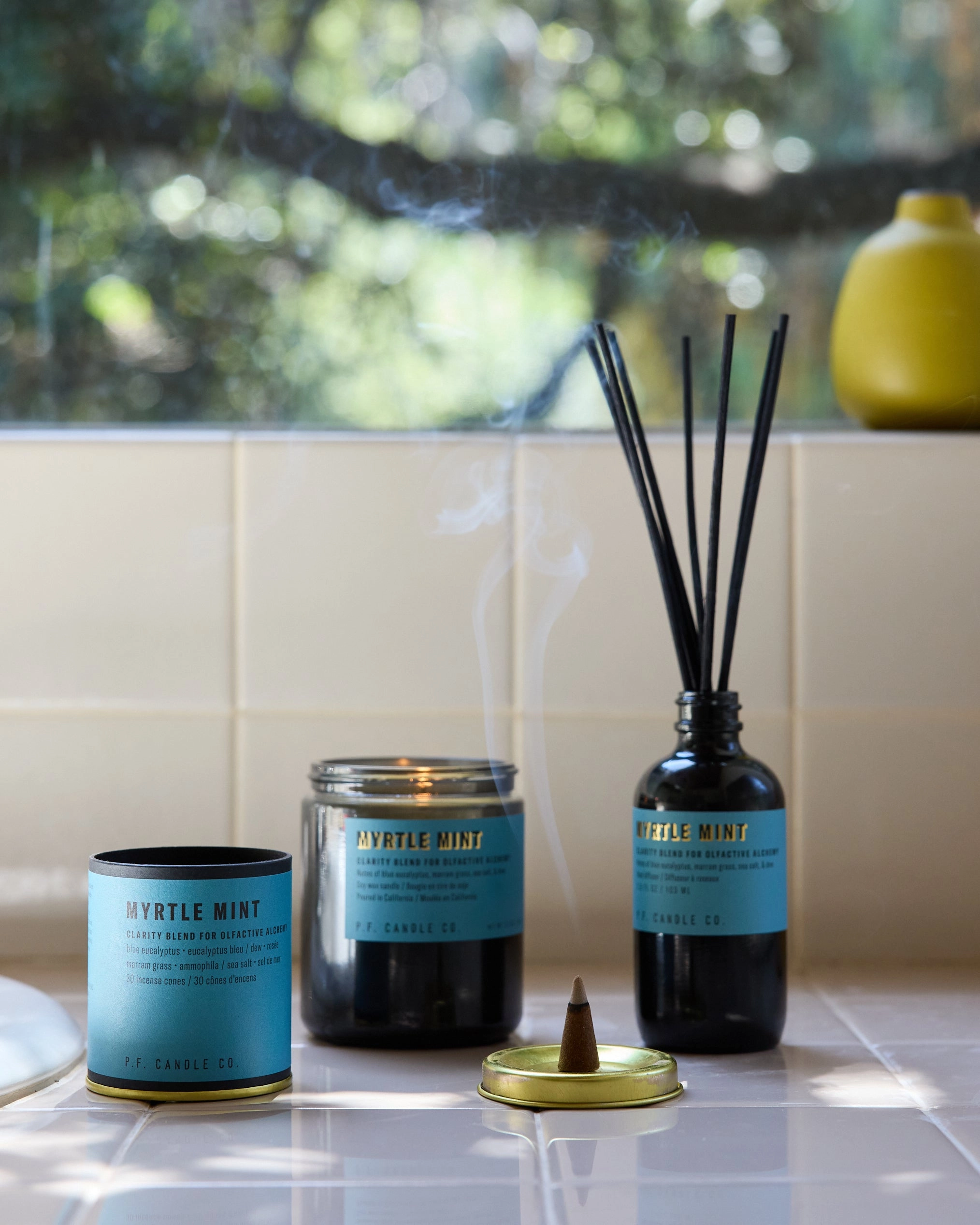 P.F. Candle Co. 7.2oz Alchemy Standard Jar Candle - Myrtle Mint