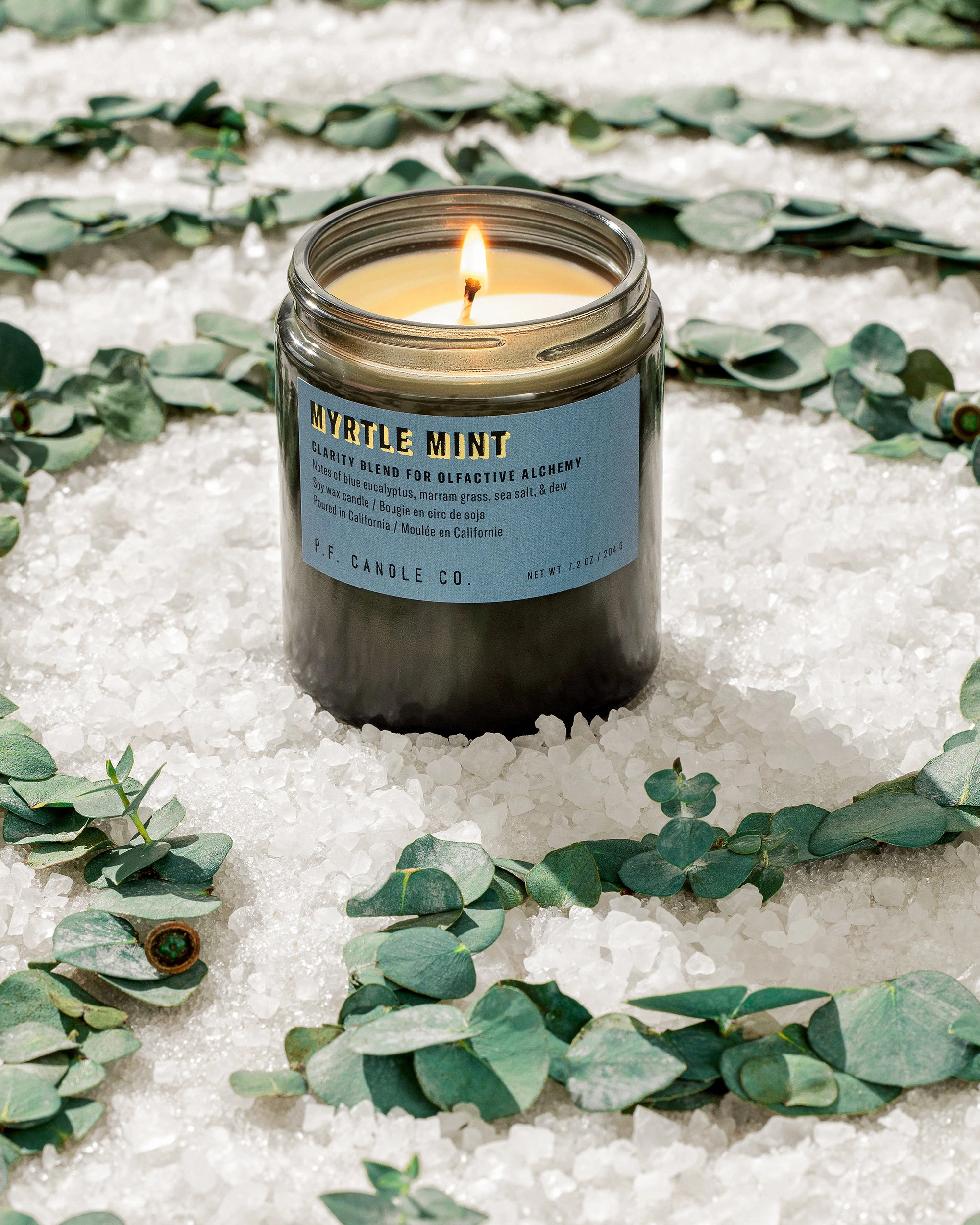 P.F. Candle Co. 7.2oz Alchemy Standard Jar Candle - Myrtle Mint
