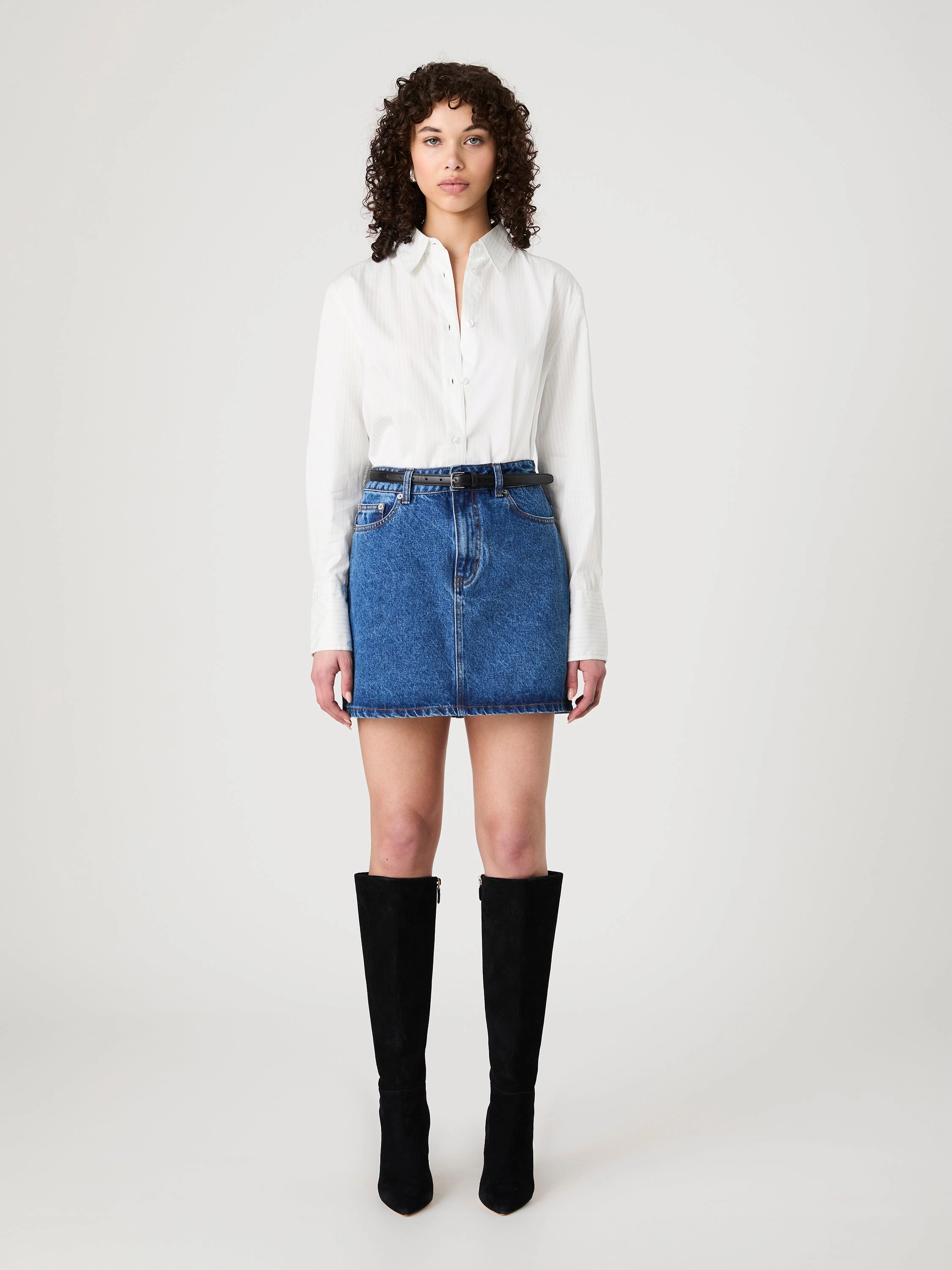 Pinstripe Poplin Button Down