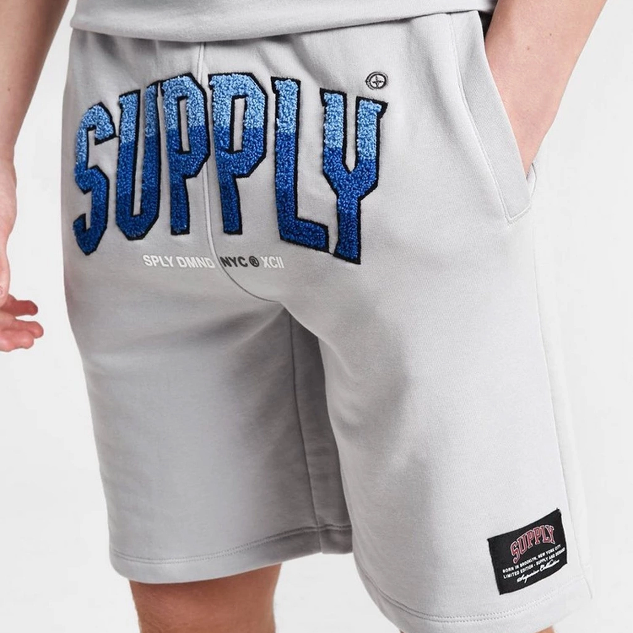 Supply & Demand Junior Boys' Zuni Shorts / Grey