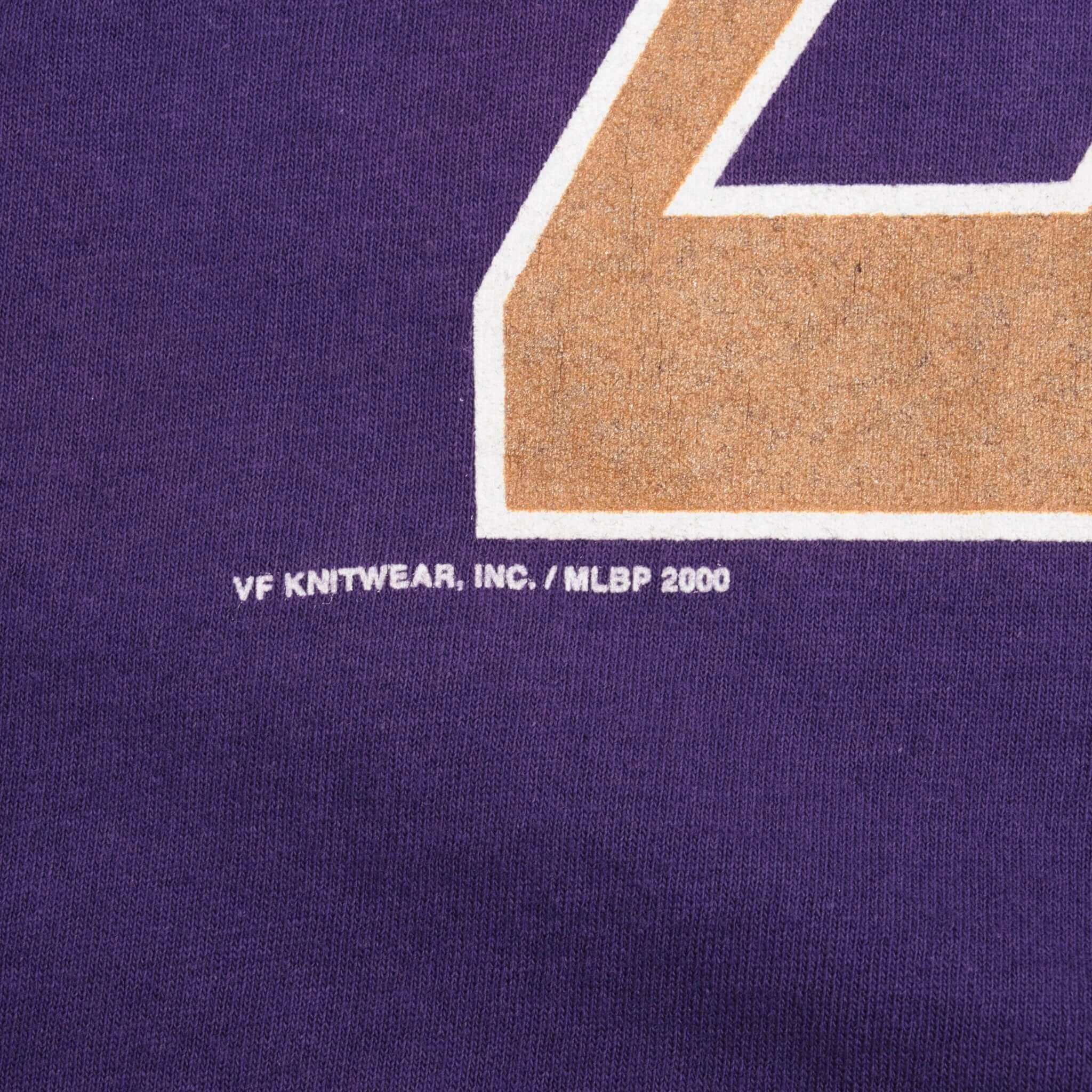 VINTAGE MLB ARIZONA DIAMONDBACKS LUIS GONZALEZ #20 2000 TEE SHIRT SIZE XL