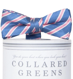 Whitman: Boys Bow Tie - Navy/Pink